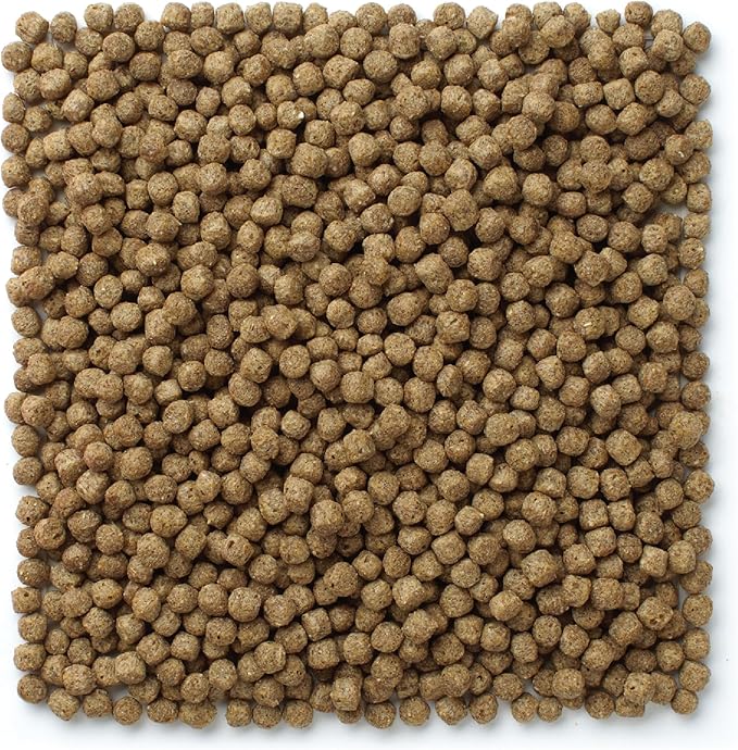 Mazuri Koi Premium Food Medium - 4mm Pellet Food for Koi Over 6 inches Long, 20 Pound (20 LB) Bag