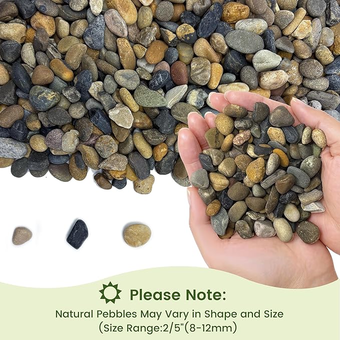 SIDONG 5LB Natural Aquarium Gravel, Small River Rocks for Fish Tank, Garden & Vase Decor - 2/5 Inch Pea Gravel, 8-12mm Polished Stones for Landscaping, Potted Plants, Terrarium
