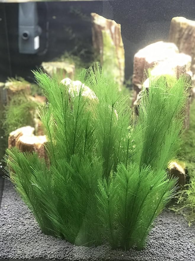 Aquarium Decorations 5Pcs Fish Tank Artificial Green Water Plants Made of Silk Fabrics Plastic