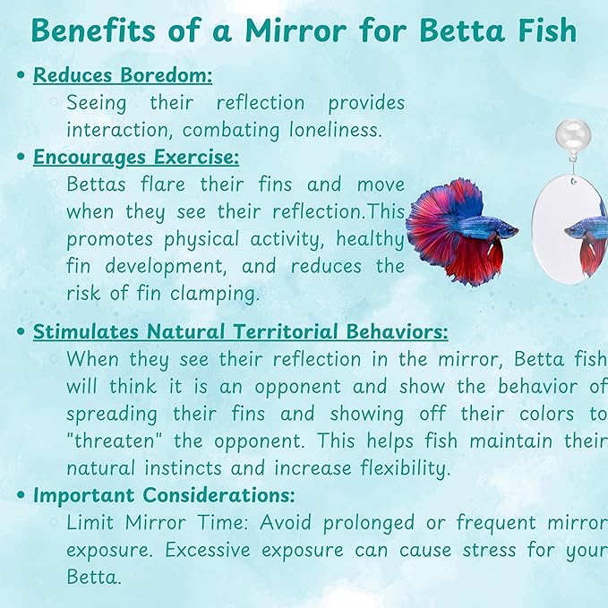 Betta Fish Enrichment Toys Ring and Mirror , Floating Exercise Mirrors And Training Ring, Floating Mirrors Aquarium With Feeding Rings, Fish Toys, Betta Fish Tank Accessories (Blue+Mirror, 6.4cm)