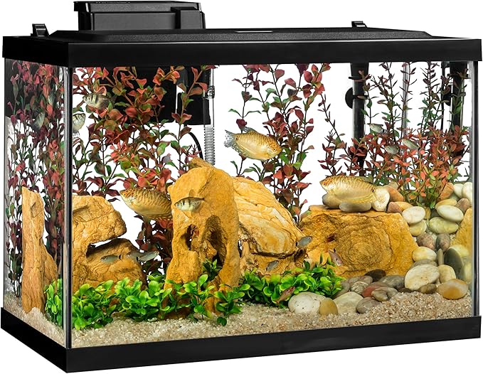 Tetra Whisper Bio-Bag Large Filter Cartridges for Aquariums, 12 Count, Unassembled, Fits Tetra Whisper Fish Tank Filters 10-30 Gal, 20-40 Gal, PF-20, 30, 40, 60, IQ 20, 30, 45, 60