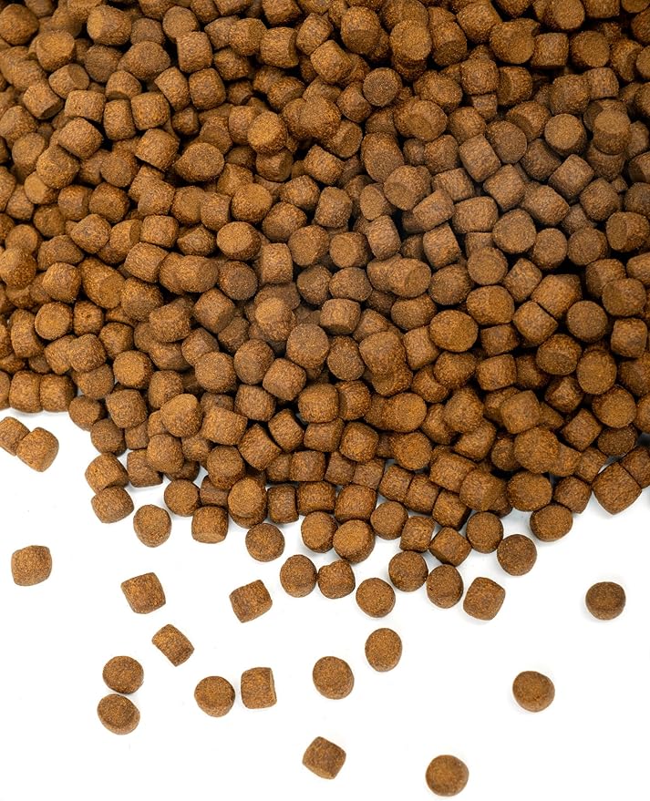 Aqua Master Hi-Growth Koi Fish Food 22-Pound, Large