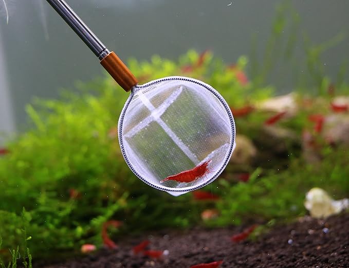 Extendable 3D Aquarium Net for Shrimp, Small Fish, Tetra, Betta, Aquarium Fish Tank