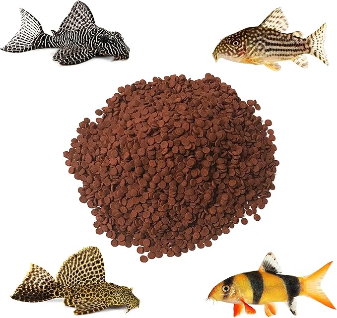 Premium Sinking Omnivore High Protein Algae Wafers Ideal for Plecos, Catfish, Shrimp, Snails, and Other Bottom Feeding Fish 5 lbs. (3 mm Omnivore)