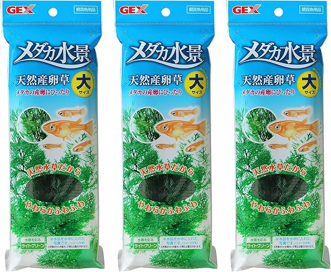 ジェックス Gex GEX Medaka Energetic Medaka Water Scene Natural Spawning Grass Large Set of 3
