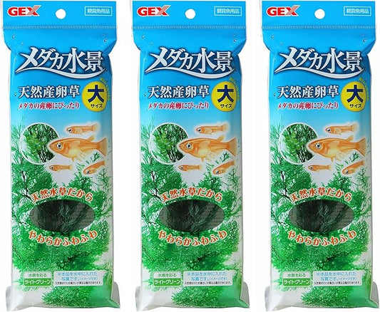 ジェックス Gex GEX Medaka Energetic Medaka Water Scene Natural Spawning Grass Large Set of 3