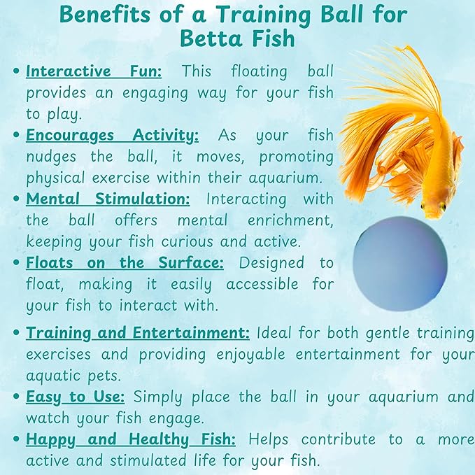 Betta Mirror Enrichment Fish Toys Stimulation, 2 pcs Exercise Feeding Rings And Training Mirror With Floating Ball Toy, Betta Fish Tank Accessories, Small Aquarium Tank Decoration (Orange, M)