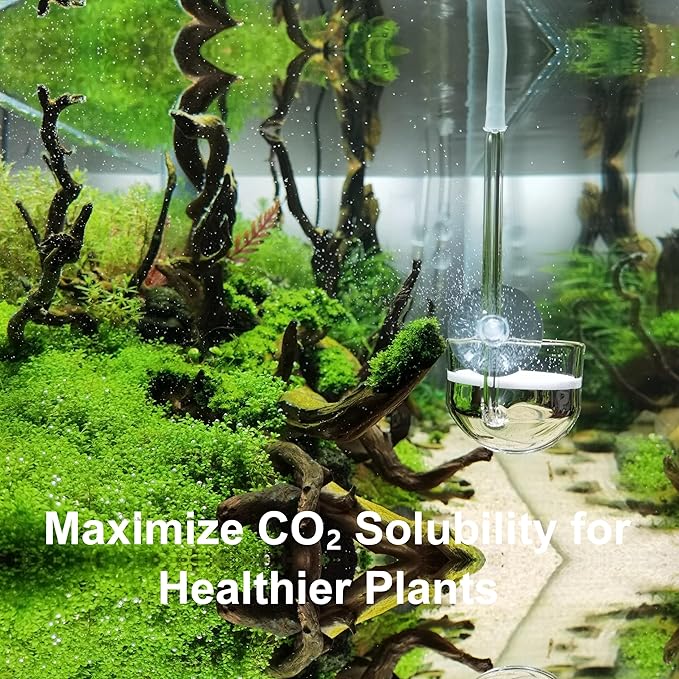 Music Glass CO2 Diffuser for Aquarium Planted Tank (1.6'' for 50-70 gallons Tank)