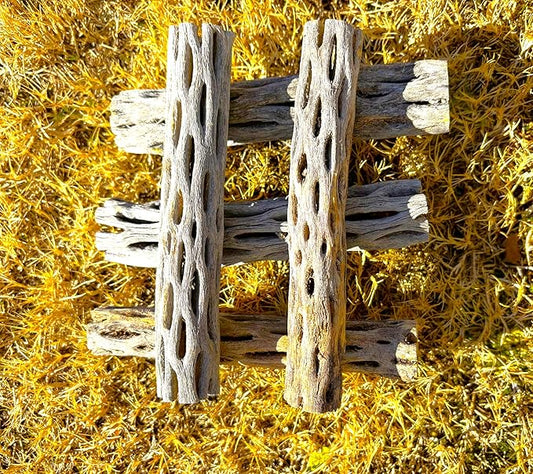 Natural Cholla Wood, Choya Air Plant, Untreated Beautiful Driftwood, Aquarium Decor, Betta Fish, Plecos, Shrimp, Minnows, Neon tetras, Cory Catfish, 6'' Long, 0.8 – 1'' Diameter, 5 – Pieces.