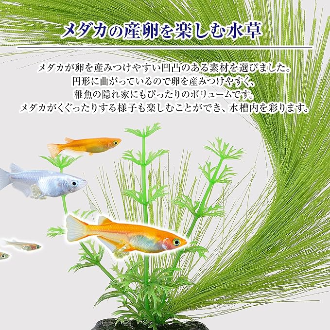 Medaka Water View Fluffy Spawning Grass Semicircle Hideaway Color Aquarium