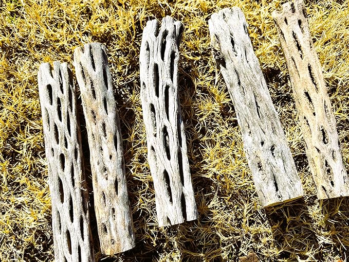 Natural Cholla Wood, Choya Air Plant, Untreated Beautiful Driftwood, Aquarium Decor, Betta Fish, Plecos, Shrimp, Minnows, Neon tetras, Cory Catfish, 6'' Long, 0.8 – 1'' Diameter, 5 – Pieces.