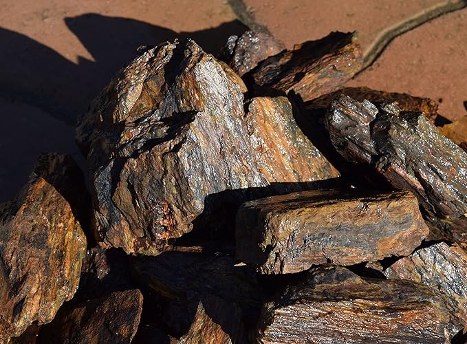 5lb Petrified Wood for Aquariums c