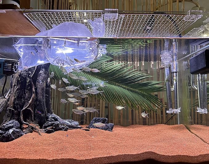 AWXZOM 11lb Natural South American Rainforest Sand, Aquarium red Sand, Lava Rock Soil, Red Lava Rock Sand, Succulent Sand Fish Tank Sand Aquarium Substrate Sand