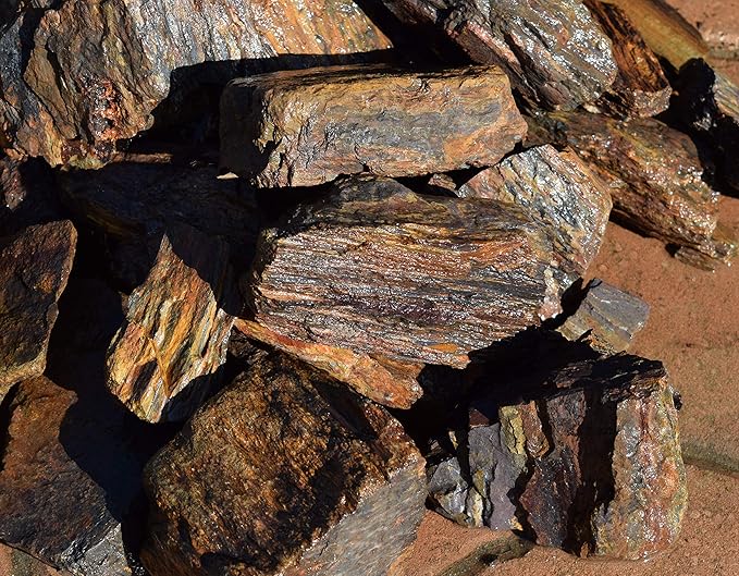 5lb Petrified Wood for Aquariums c