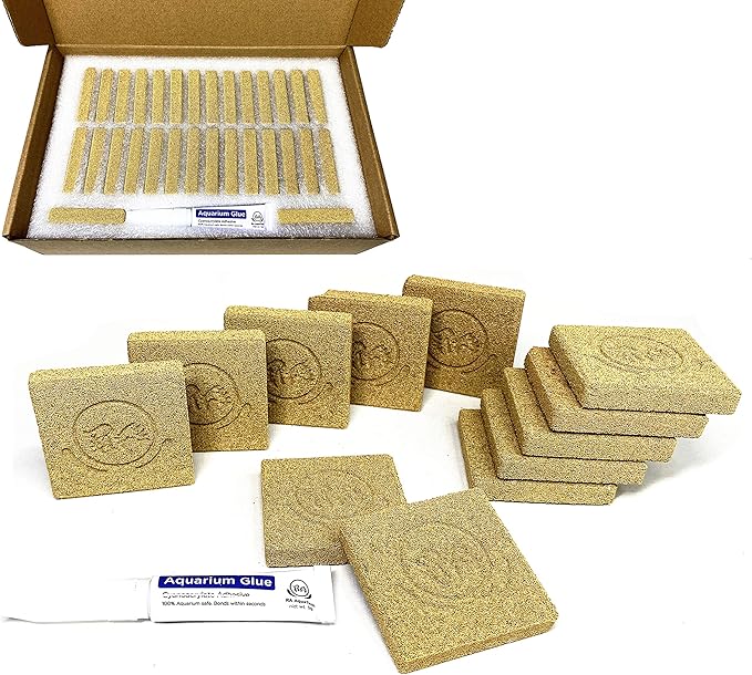 Ceramic Coral Frag Tiles 30pcs for SPS LPS softy frag plugs frag rack ( 30pcs )
